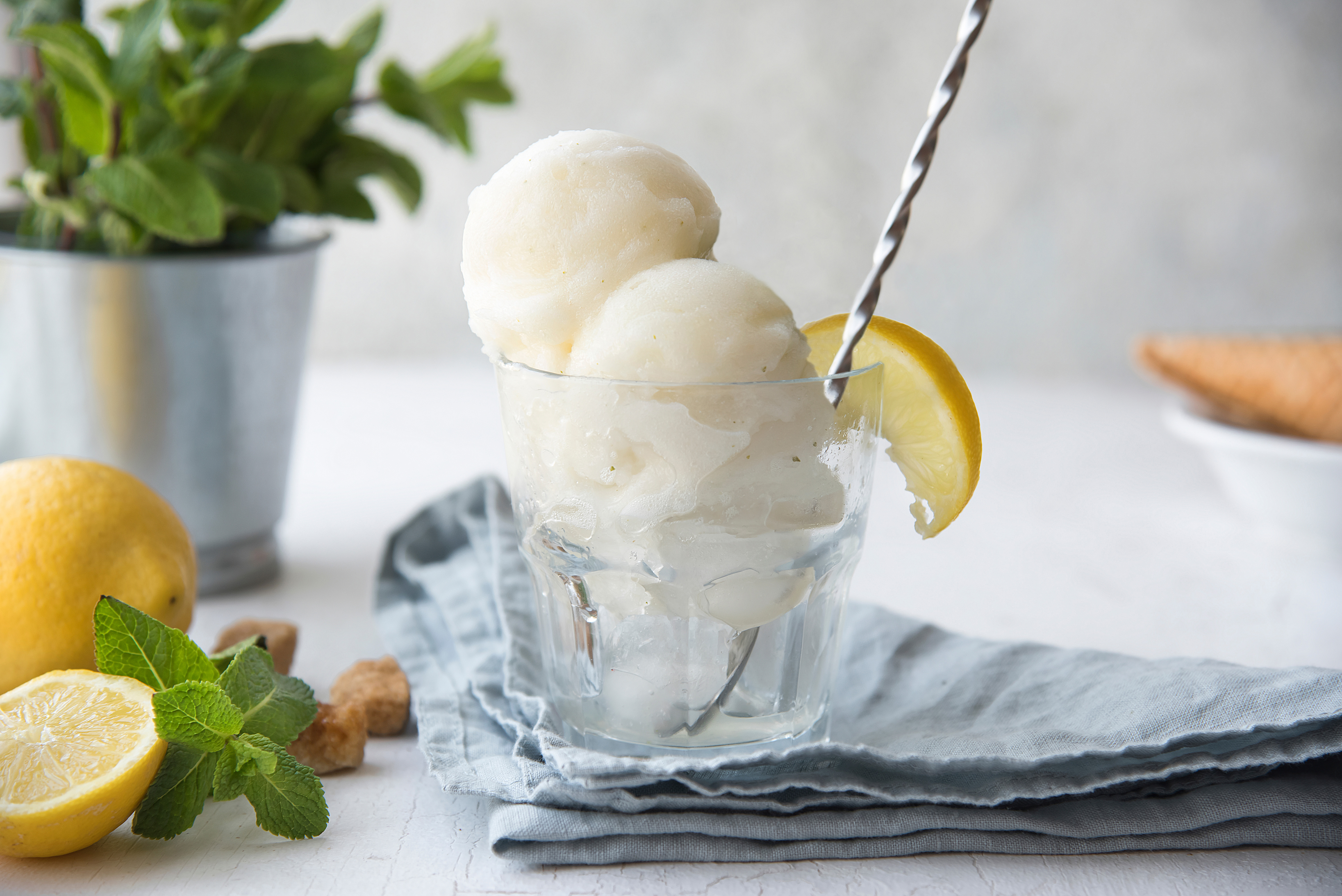 Lemon sorbet discount ice cream machine